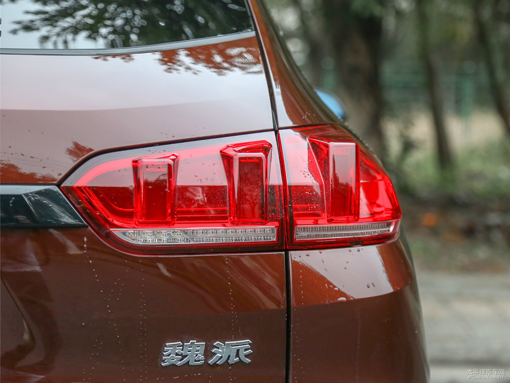 柚木棕色魏牌 VV5車尾外觀圖片
