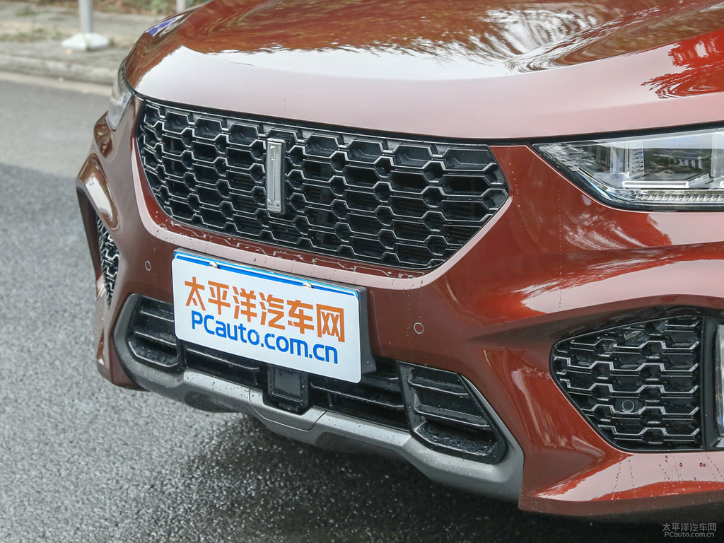 柚木棕色魏牌 VV5車頭外觀圖片