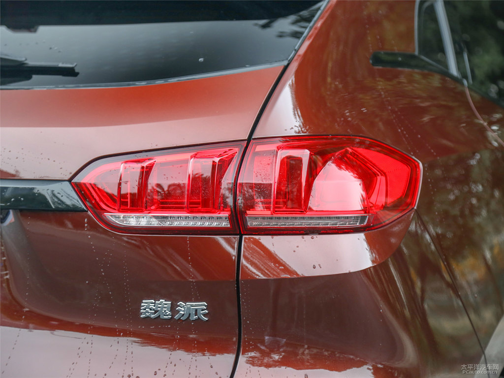 柚木棕色魏牌 VV5車(chē)尾外觀圖片