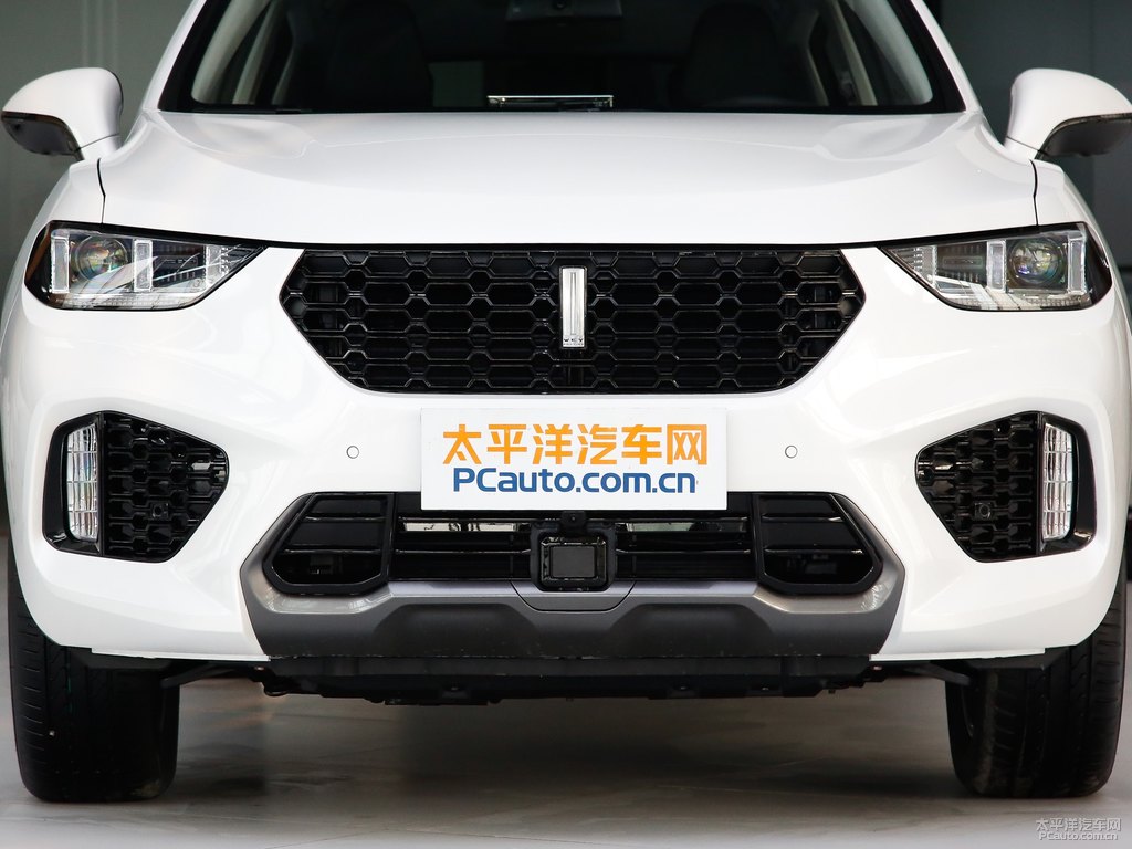 雪域白魏牌 VV5車頭外觀圖片