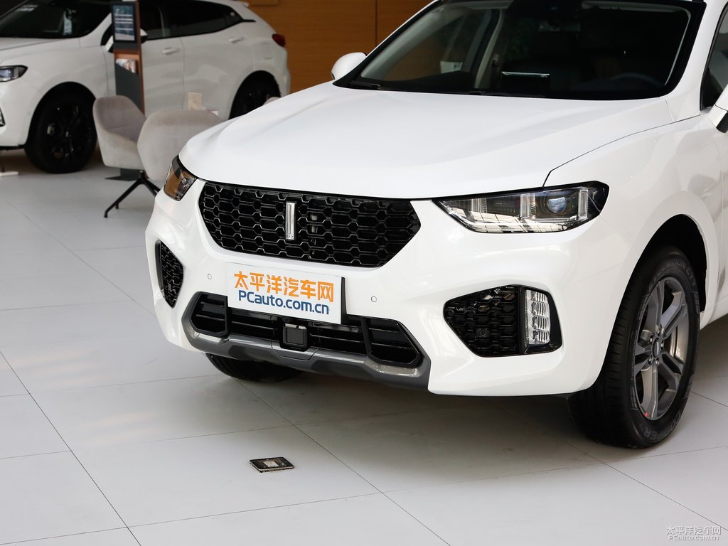 雪域白魏牌 VV5車頭外觀圖片