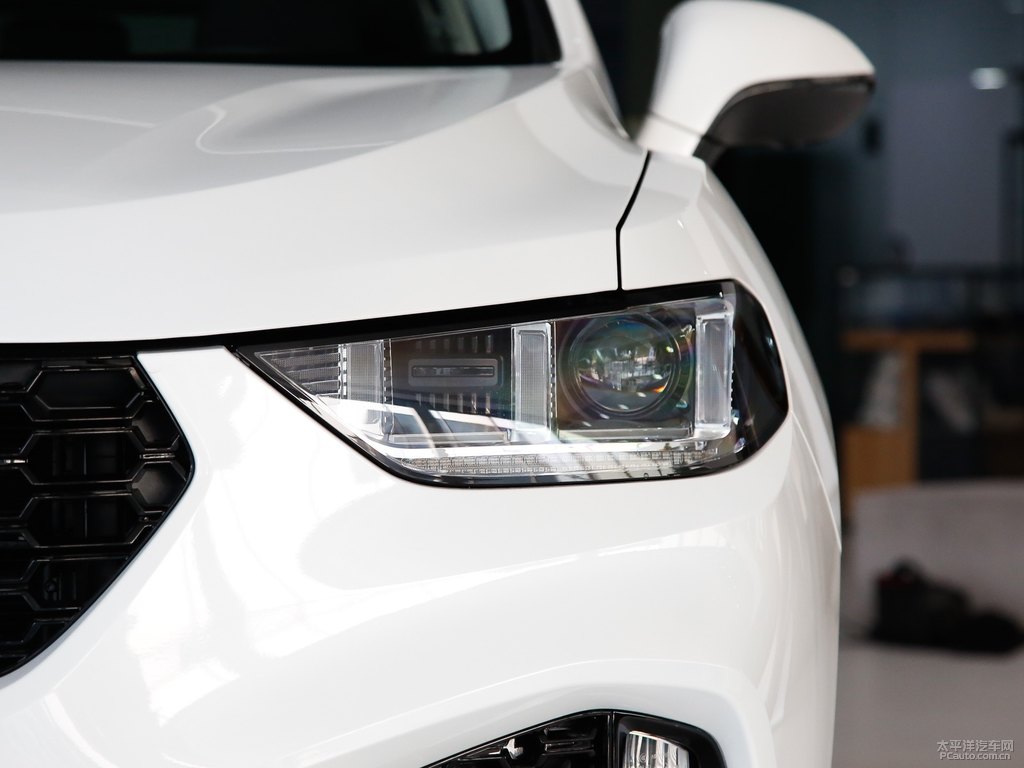 雪域白魏牌 VV5車頭外觀圖片