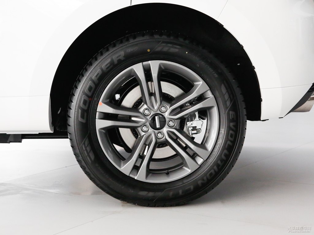雪域白魏牌 VV5車身外觀圖片