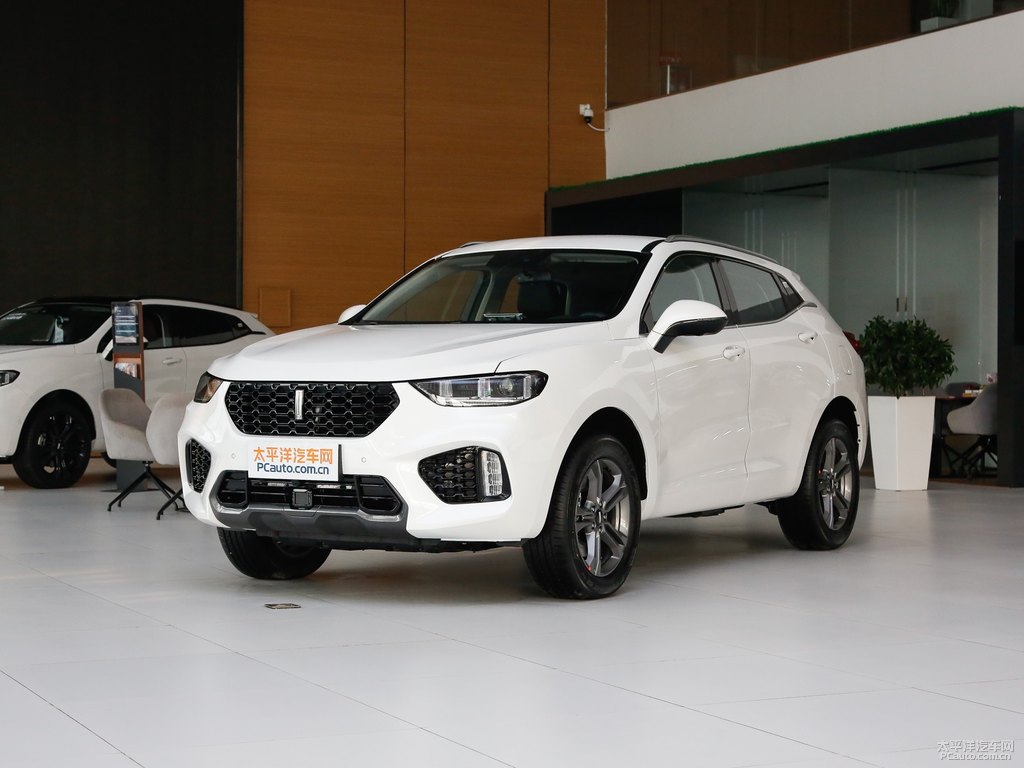 雪域白魏牌 VV5整車外觀外觀圖片
