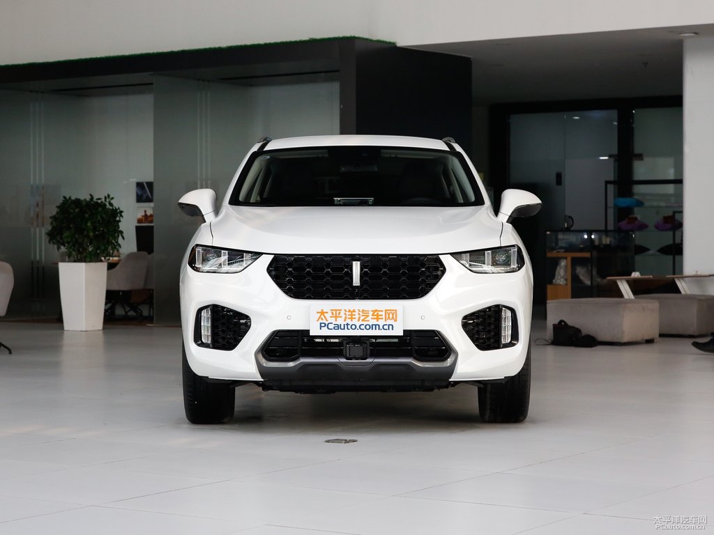 雪域白魏牌 VV5整車外觀外觀圖片