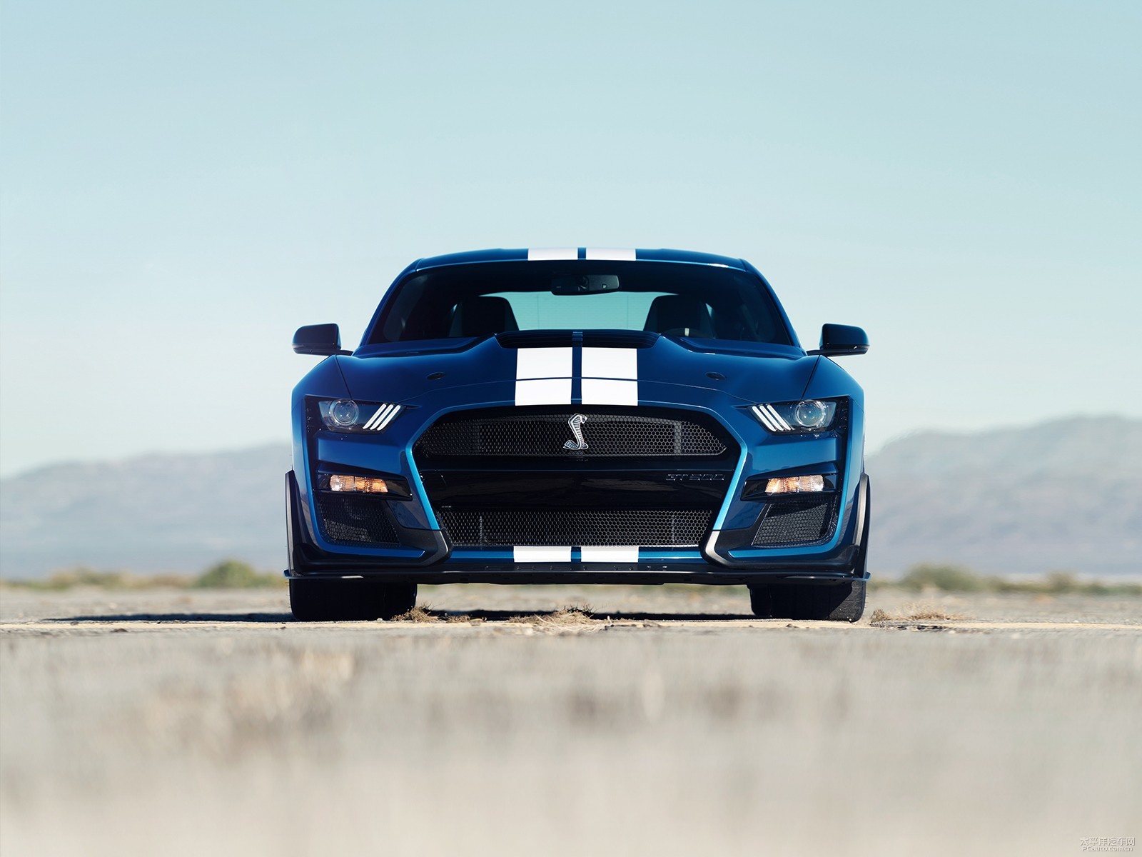 福特Mustang外觀高清大圖
