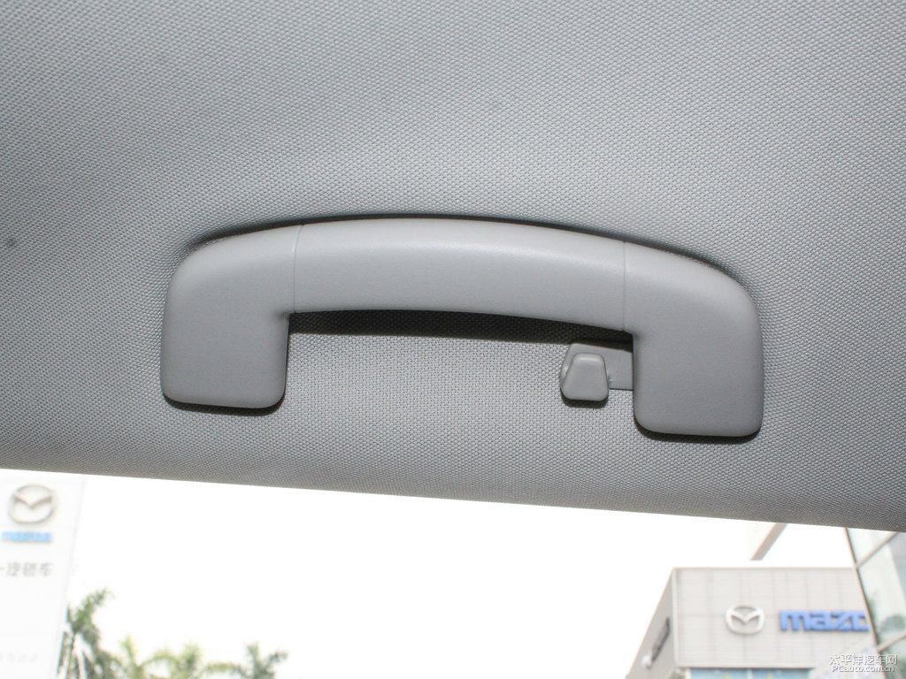 極地白高爾夫車(chē)廂內(nèi)飾圖片