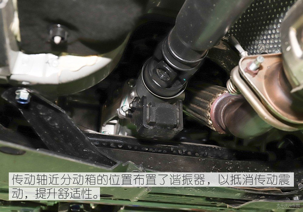 奕歌圖片