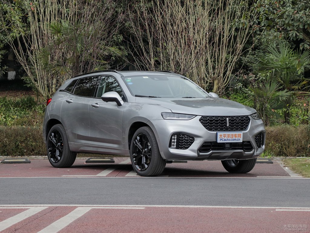 艾爾斯灰魏牌 VV7整車外觀外觀圖片