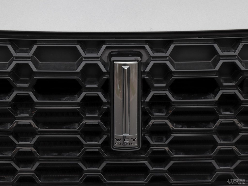 艾爾斯灰魏牌 VV7車頭外觀圖片