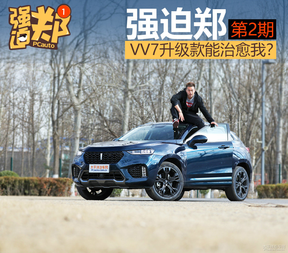 魏牌 VV7圖片
