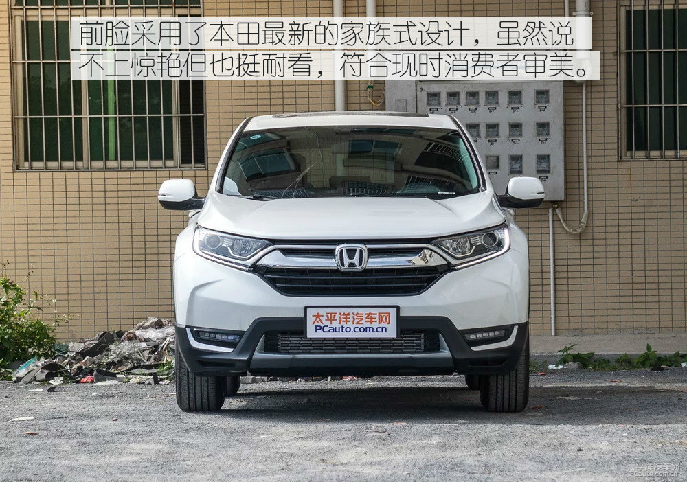 柯迪亞克圖片