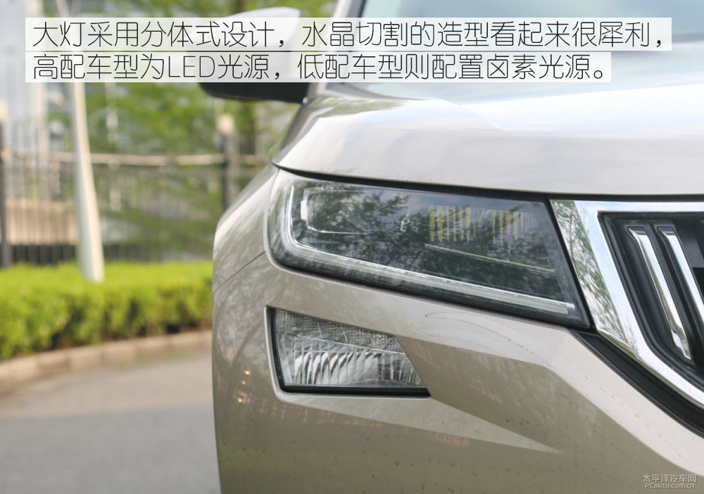 柯迪亞克圖片