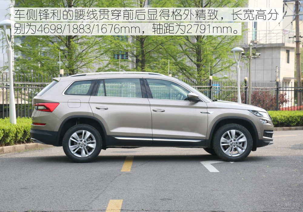 柯迪亞克圖片