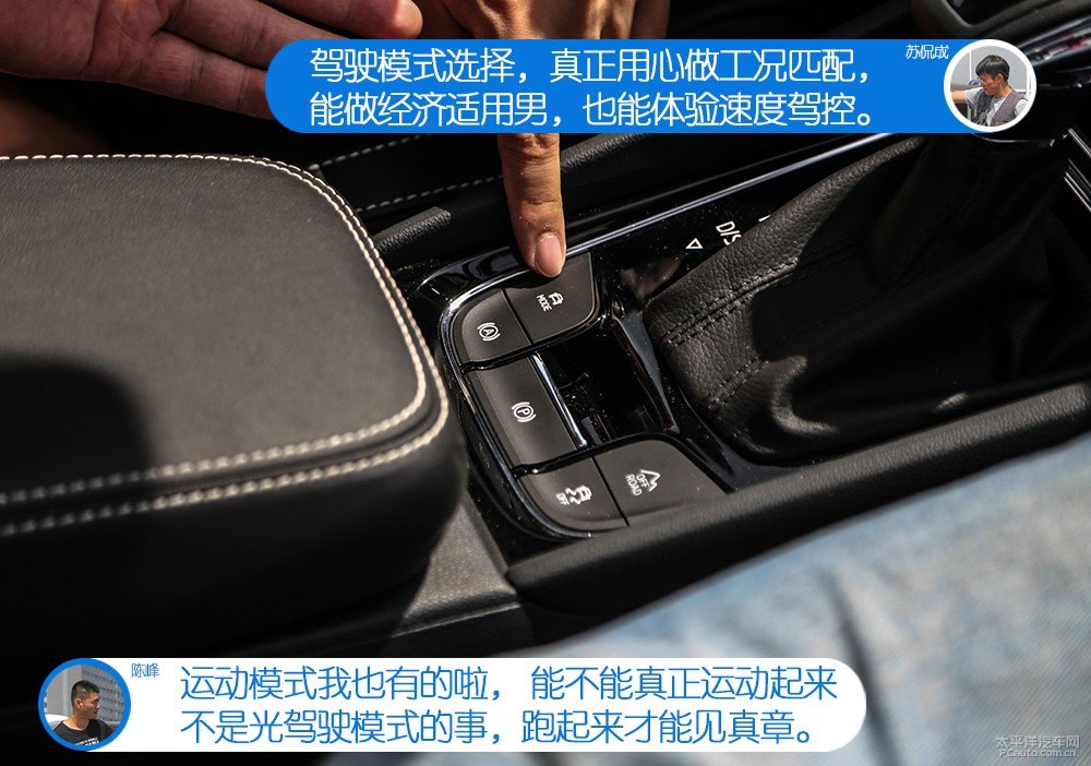 柯迪亞克圖片
