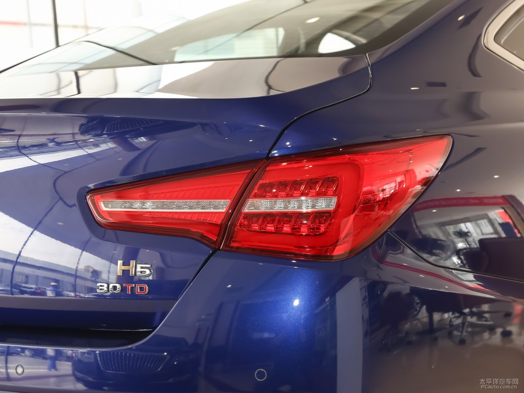 青川藍(lán)紅旗H5經(jīng)典車尾外觀圖片