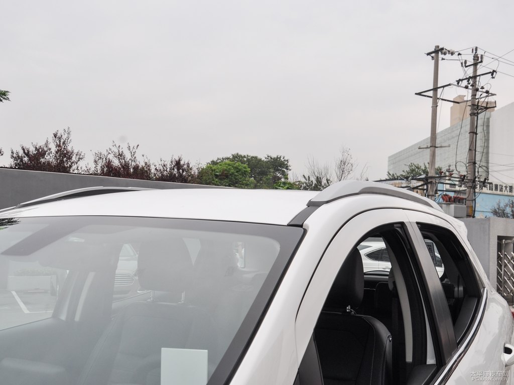 喜馬拉雅白翼搏車身外觀圖片