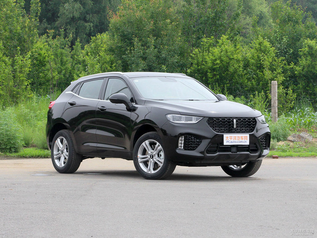 炫晶黑魏牌 VV5整車外觀外觀圖片