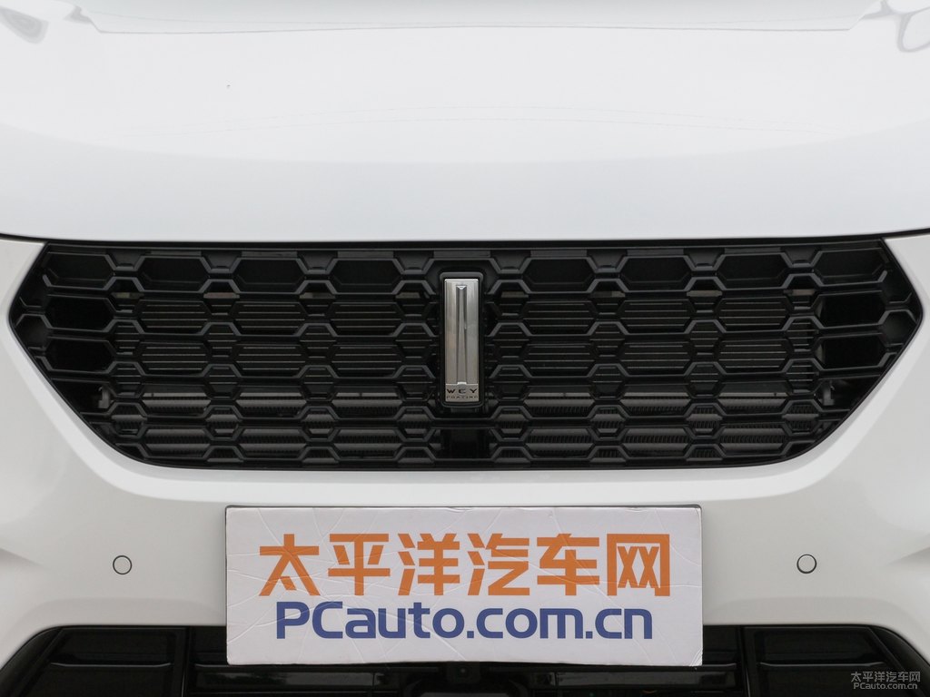 雪域白魏牌 VV5車頭外觀圖片