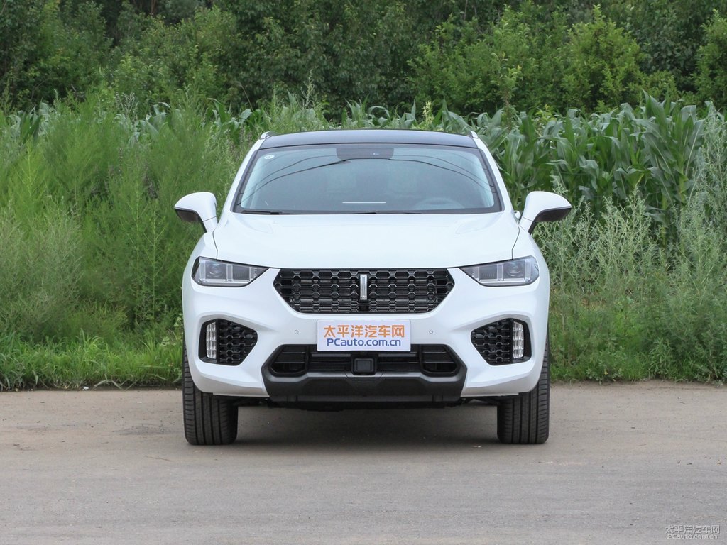 雪域白魏牌 VV5整車外觀外觀圖片