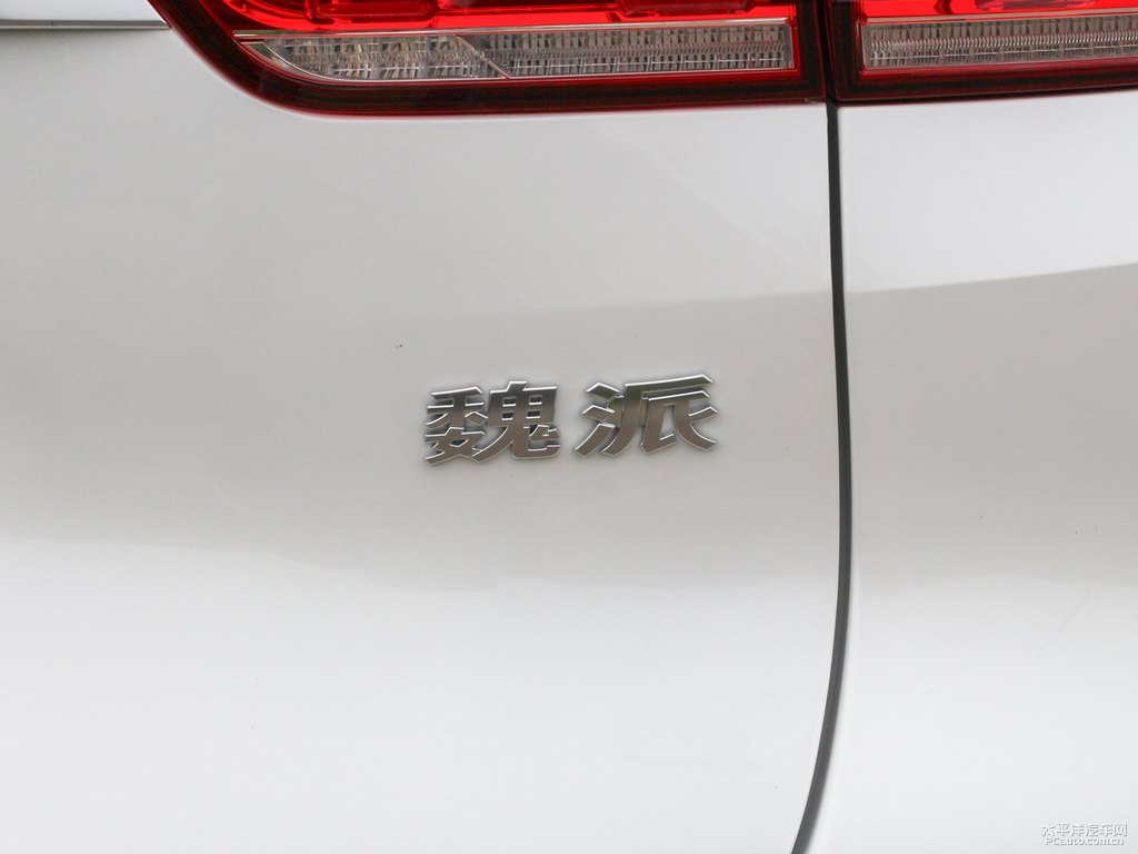 雪域白魏牌 VV5車尾外觀圖片