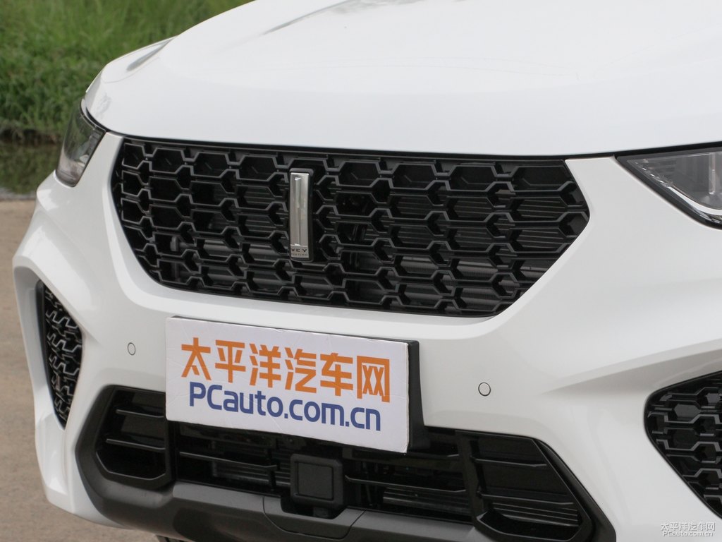 雪域白魏牌 VV5車頭外觀圖片
