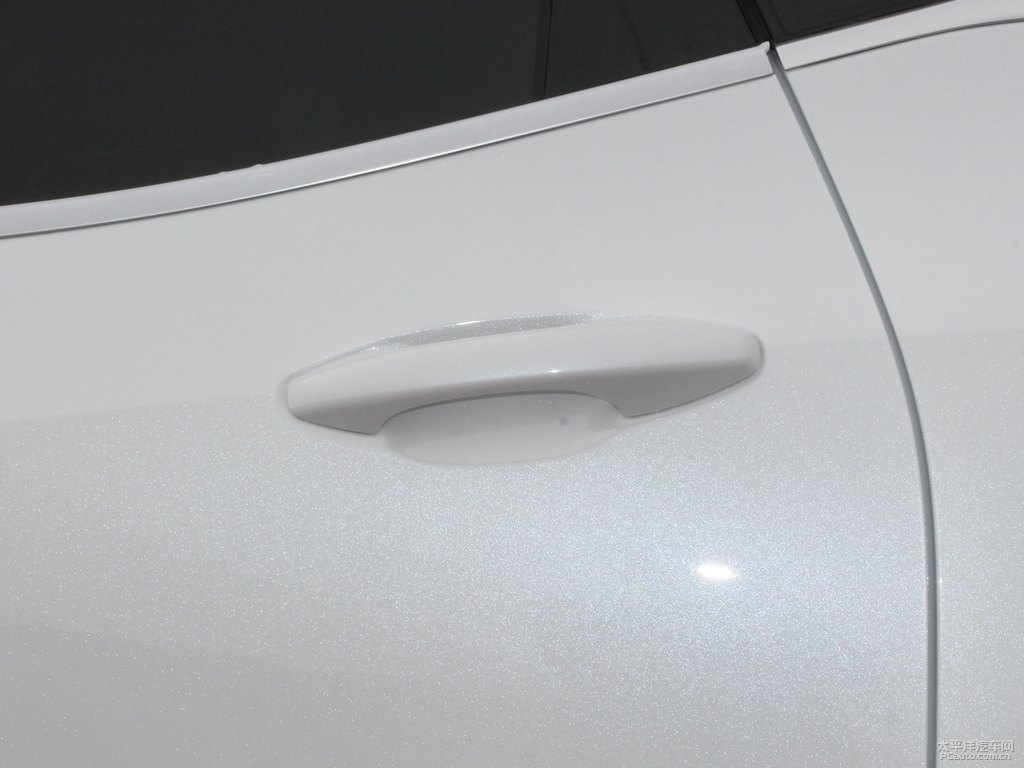 雪域白魏牌 VV5車身外觀圖片
