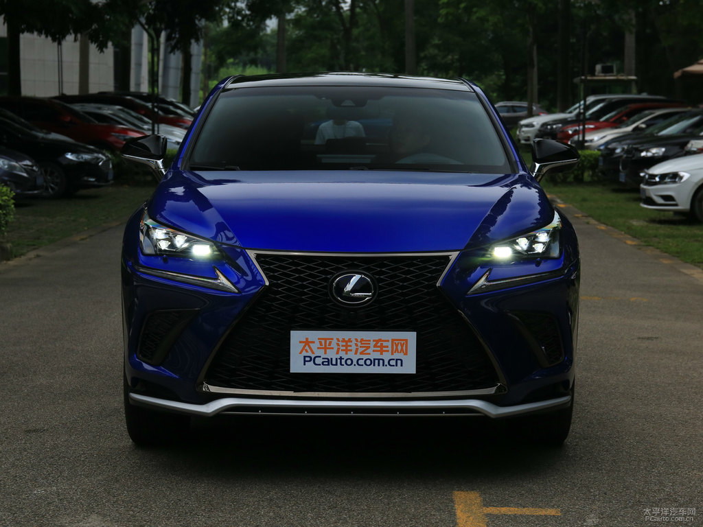 藍(lán)焰色雷克薩斯NX車(chē)頭外觀圖片