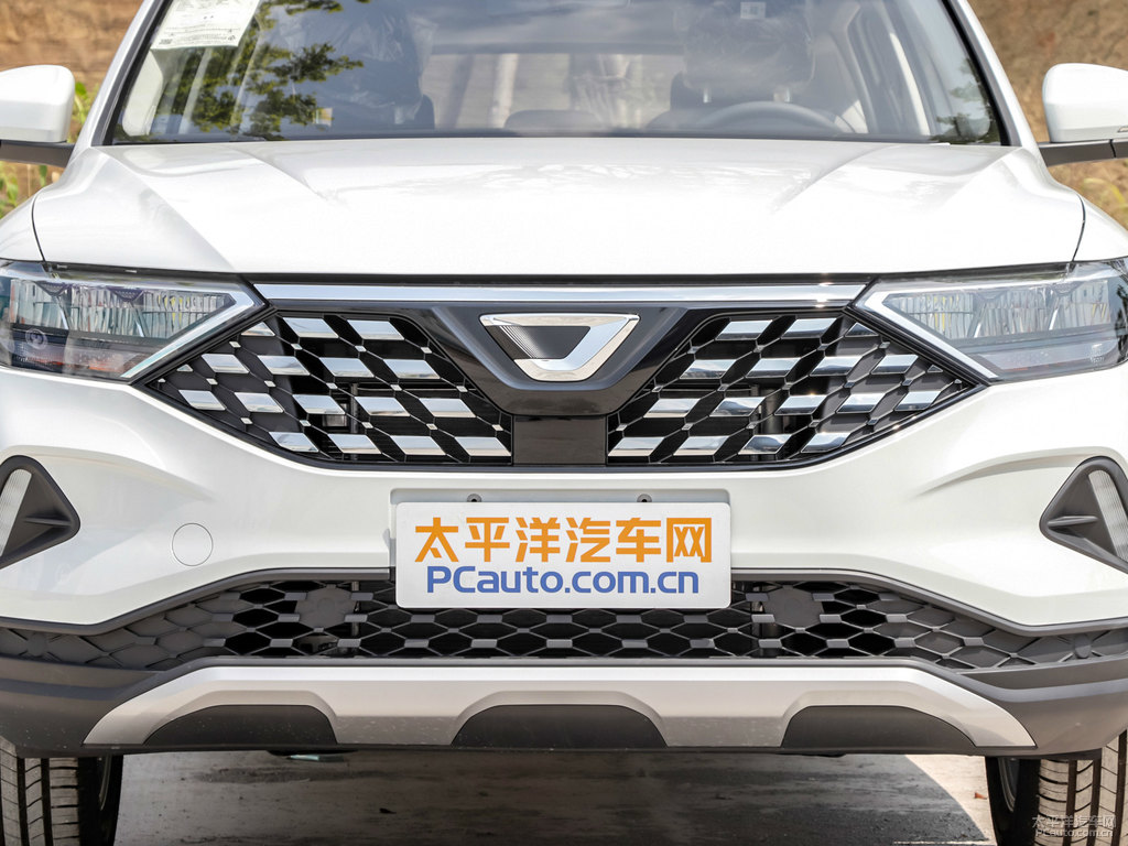 極地白捷達(dá)VS5車(chē)頭外觀圖片