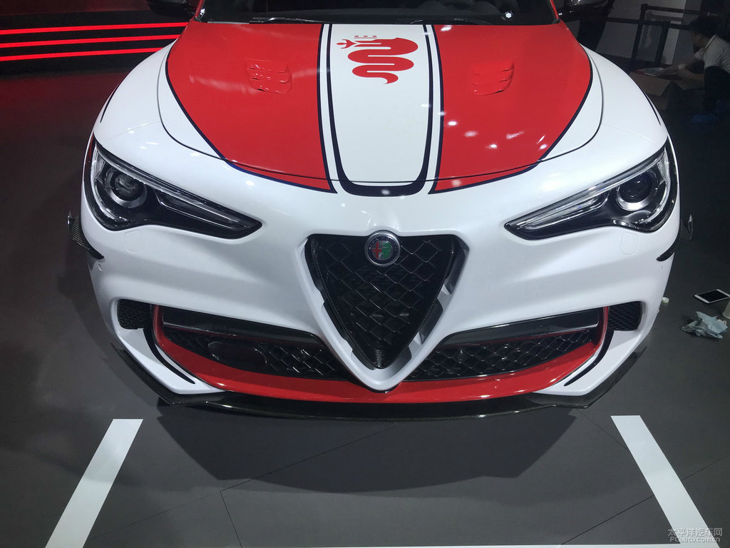 Stelvio斯坦維圖片