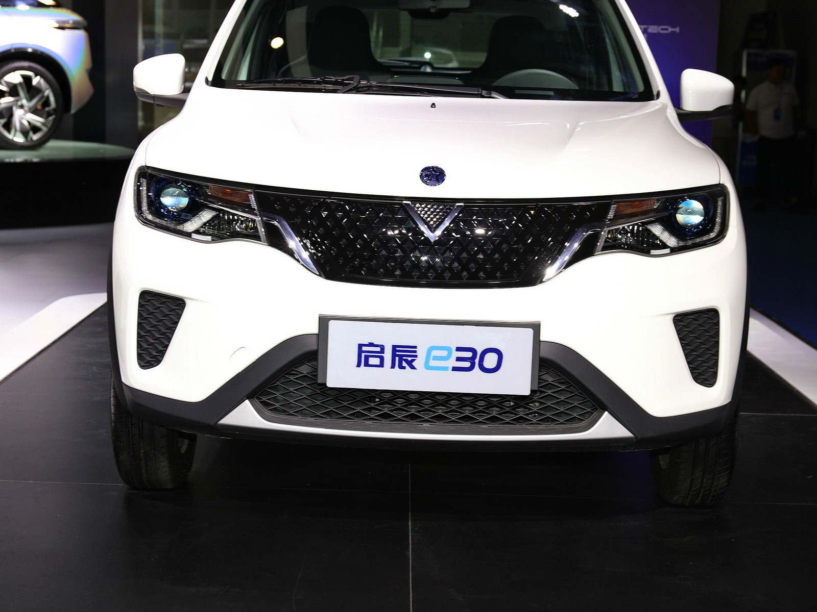 啟辰e30車展高清大圖