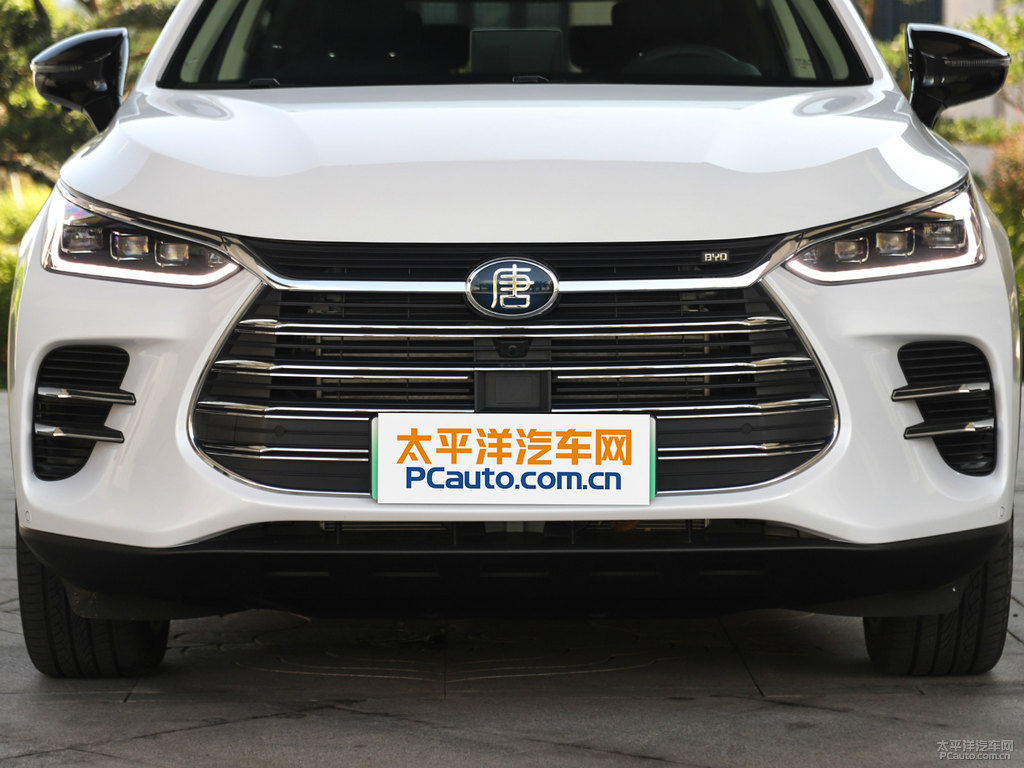 雪域白唐新能源車頭外觀圖片