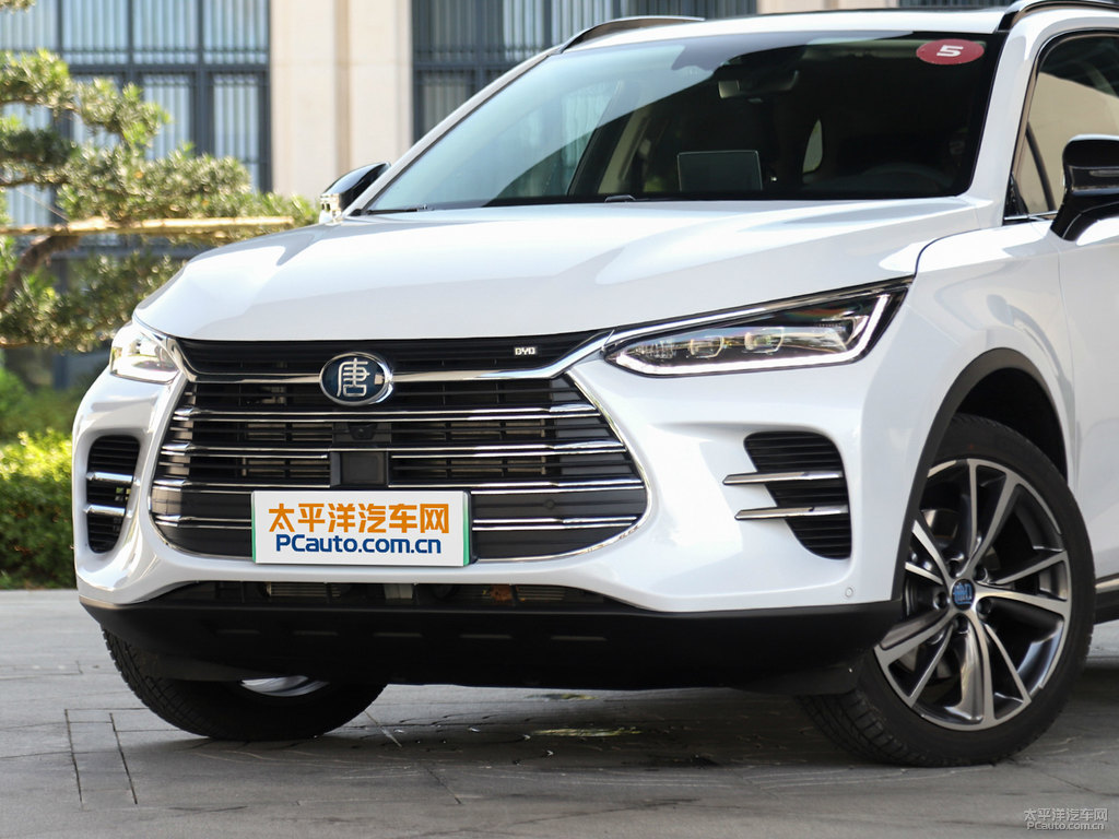 雪域白唐新能源車頭外觀圖片