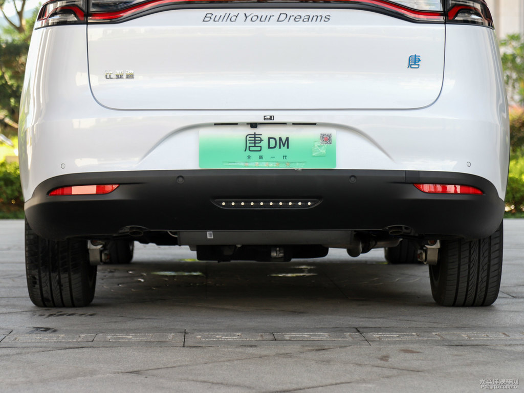 雪域白唐新能源車尾外觀圖片