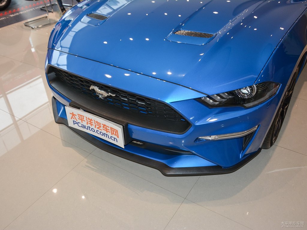 ǳ{(ln)Mustang܇(ch)^^DƬ