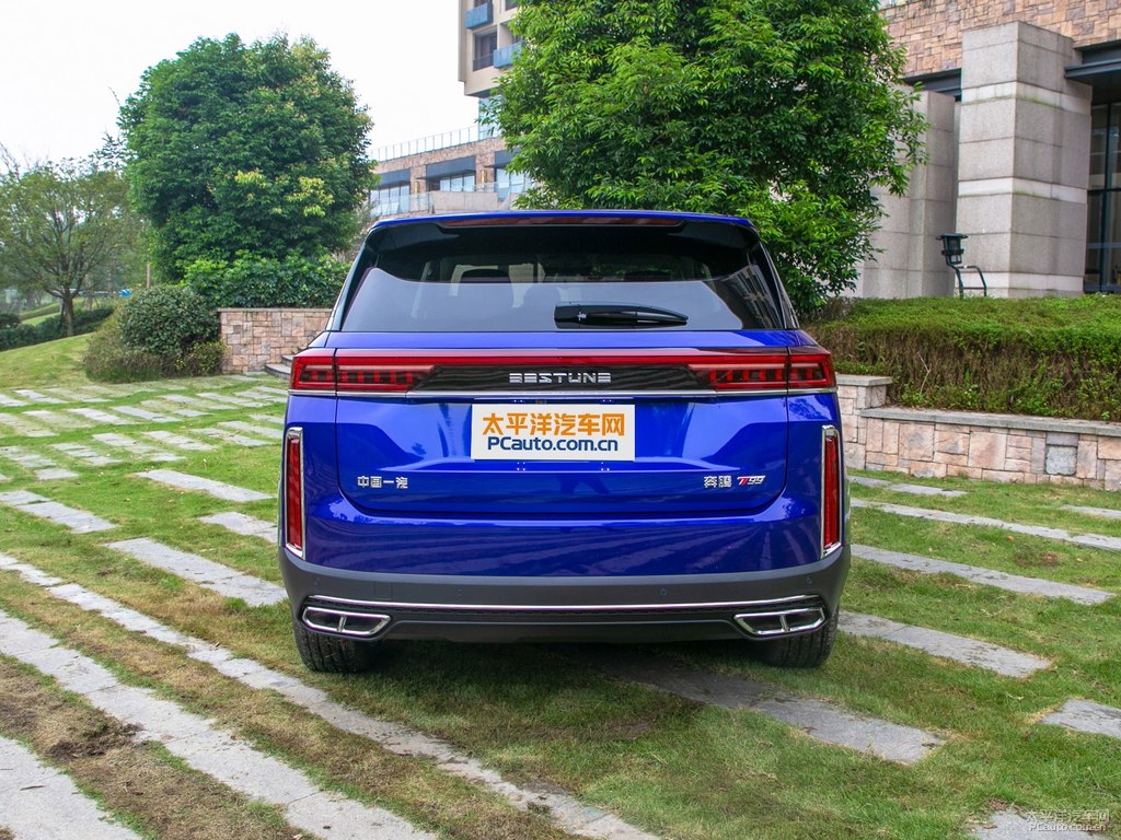 帝王藍奔騰T99整車外觀外觀圖片