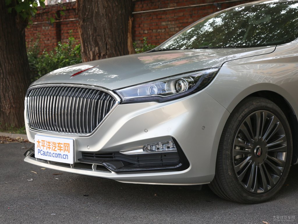 鉑光金紅旗H5經(jīng)典車頭外觀圖片