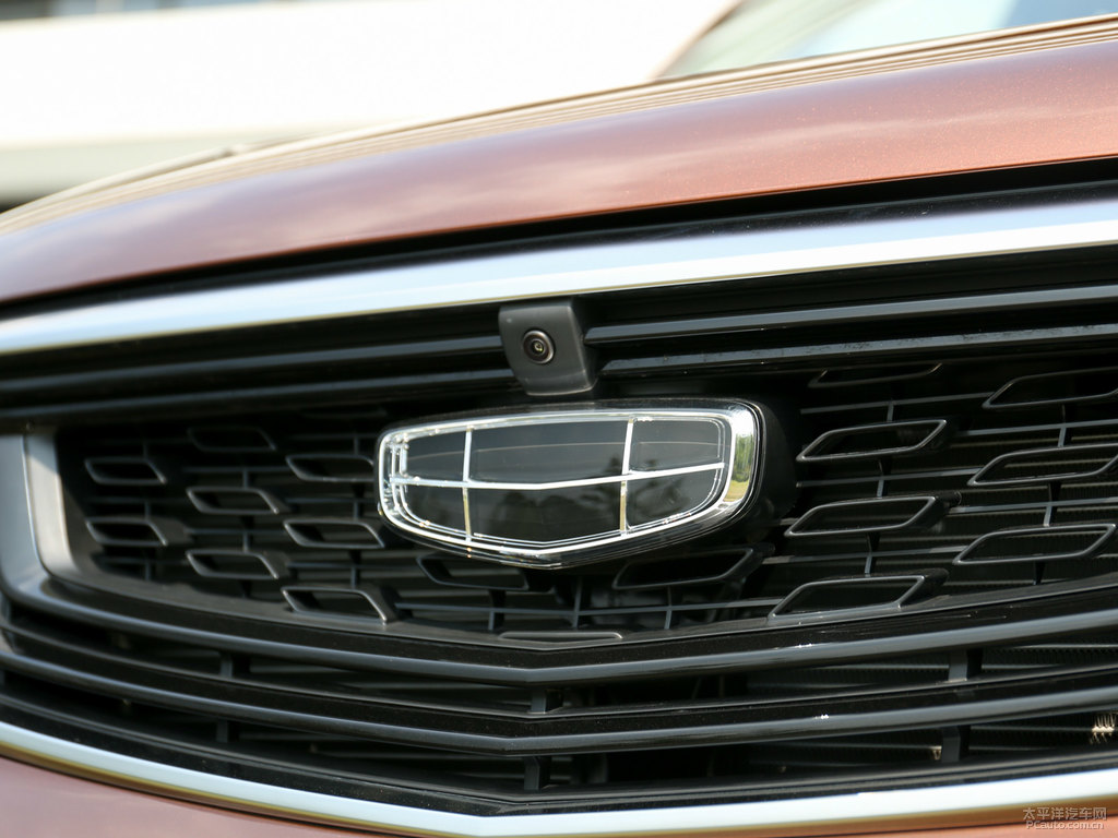 瑪瑙棕遠(yuǎn)景X6車(chē)頭外觀圖片