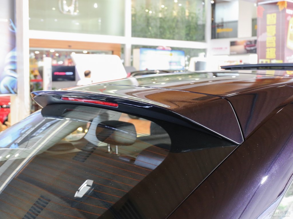 星空藍(lán)冠道車尾外觀圖片