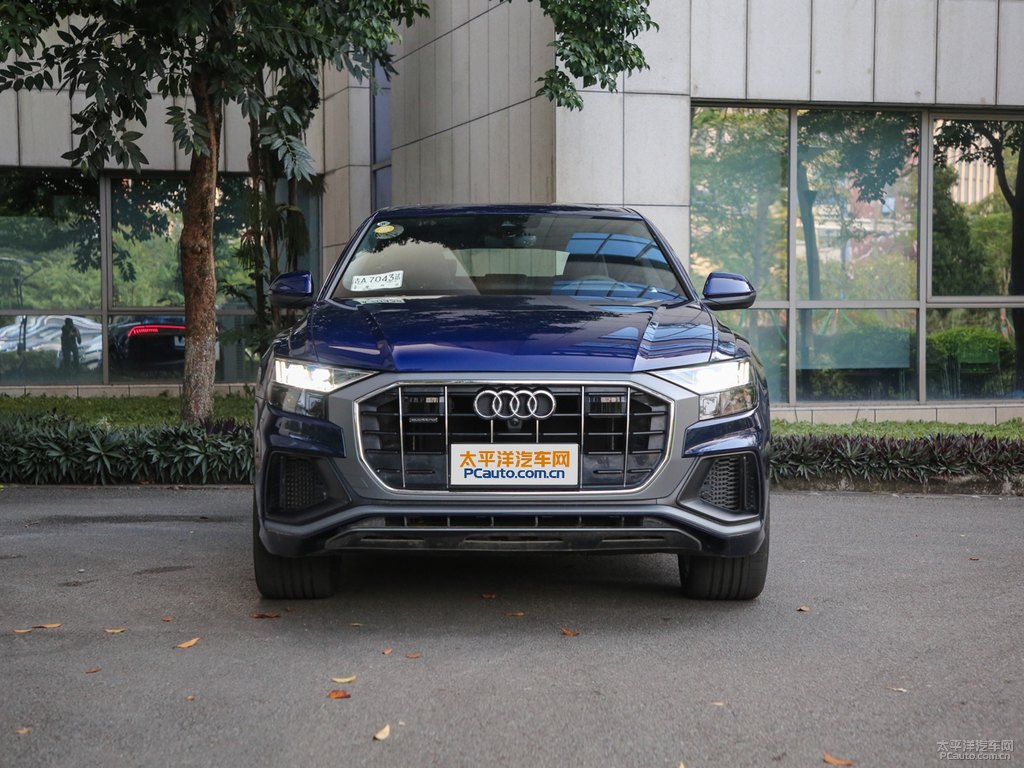 納瓦拉藍(lán)奧迪Q8整車外觀外觀圖片