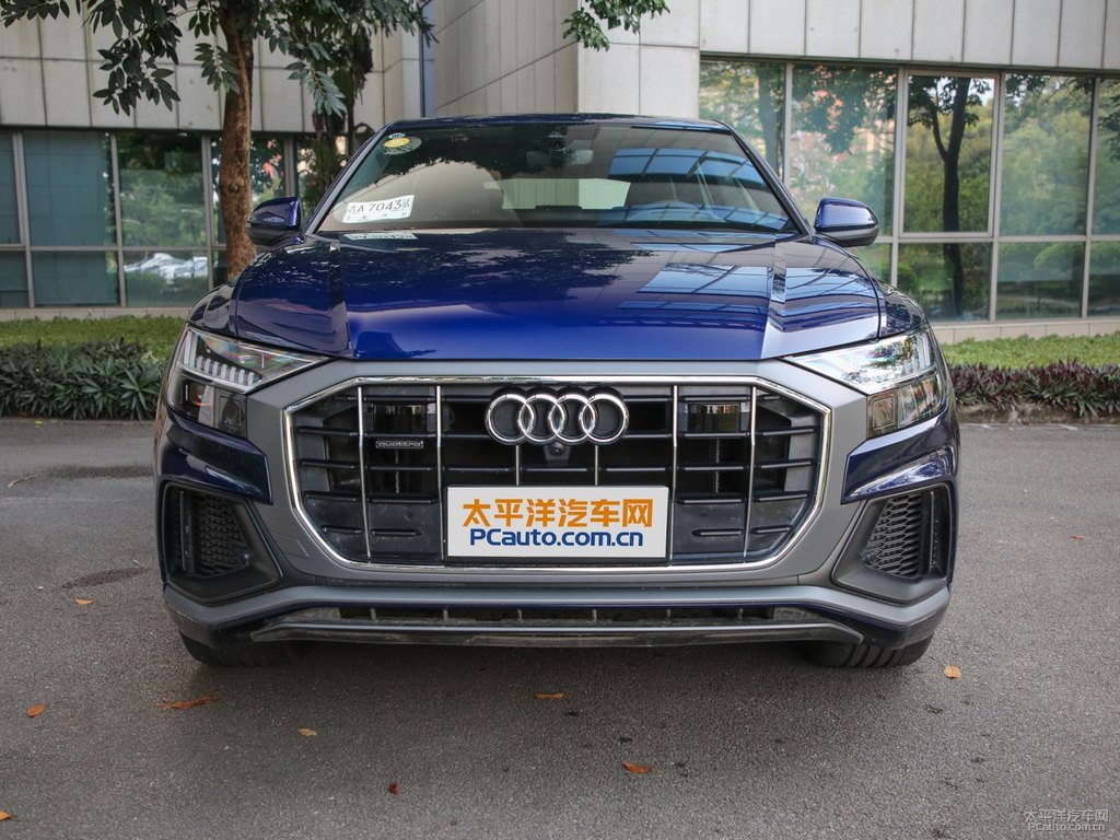 納瓦拉藍(lán)奧迪Q8車(chē)頭外觀(guān)圖片