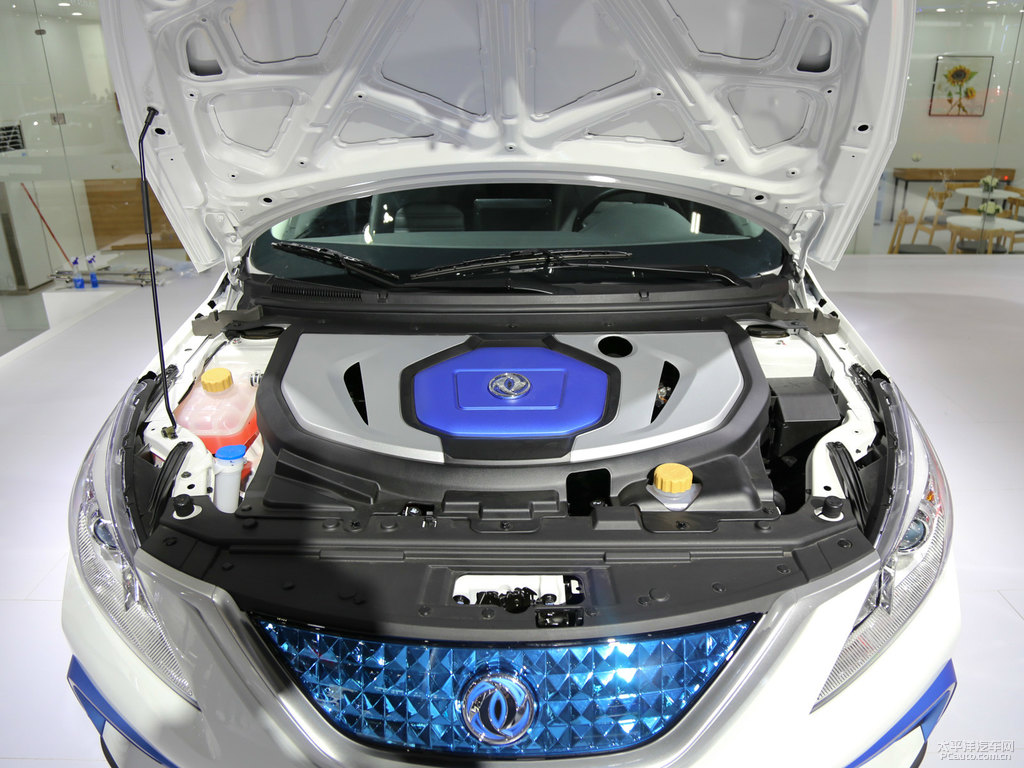 LS50EVDƬ