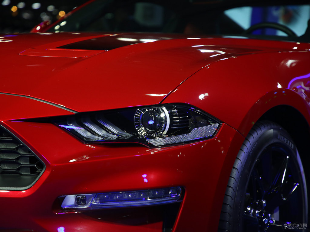 MustangDƬ