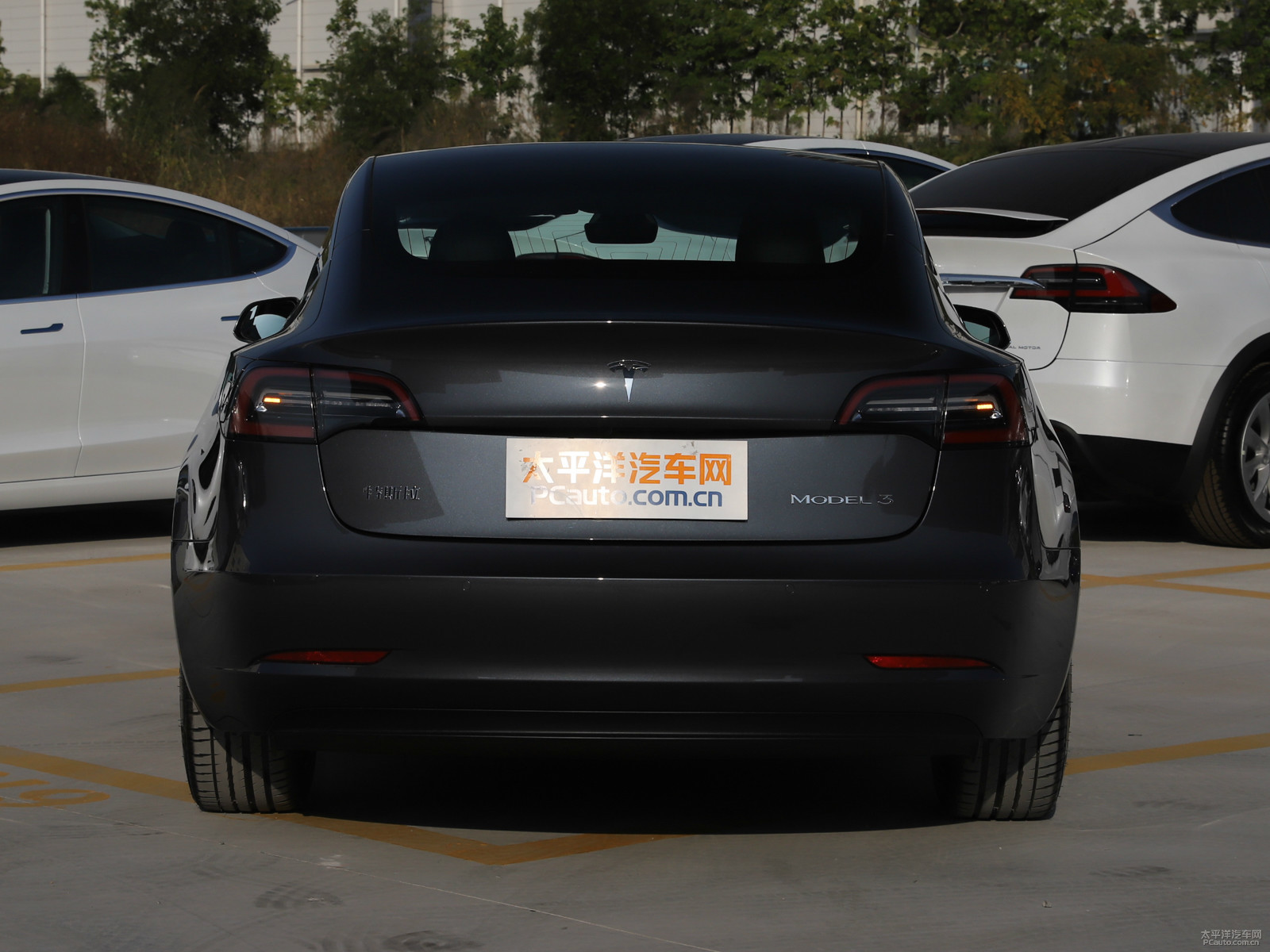 冷光銀Model 3車尾外觀圖片