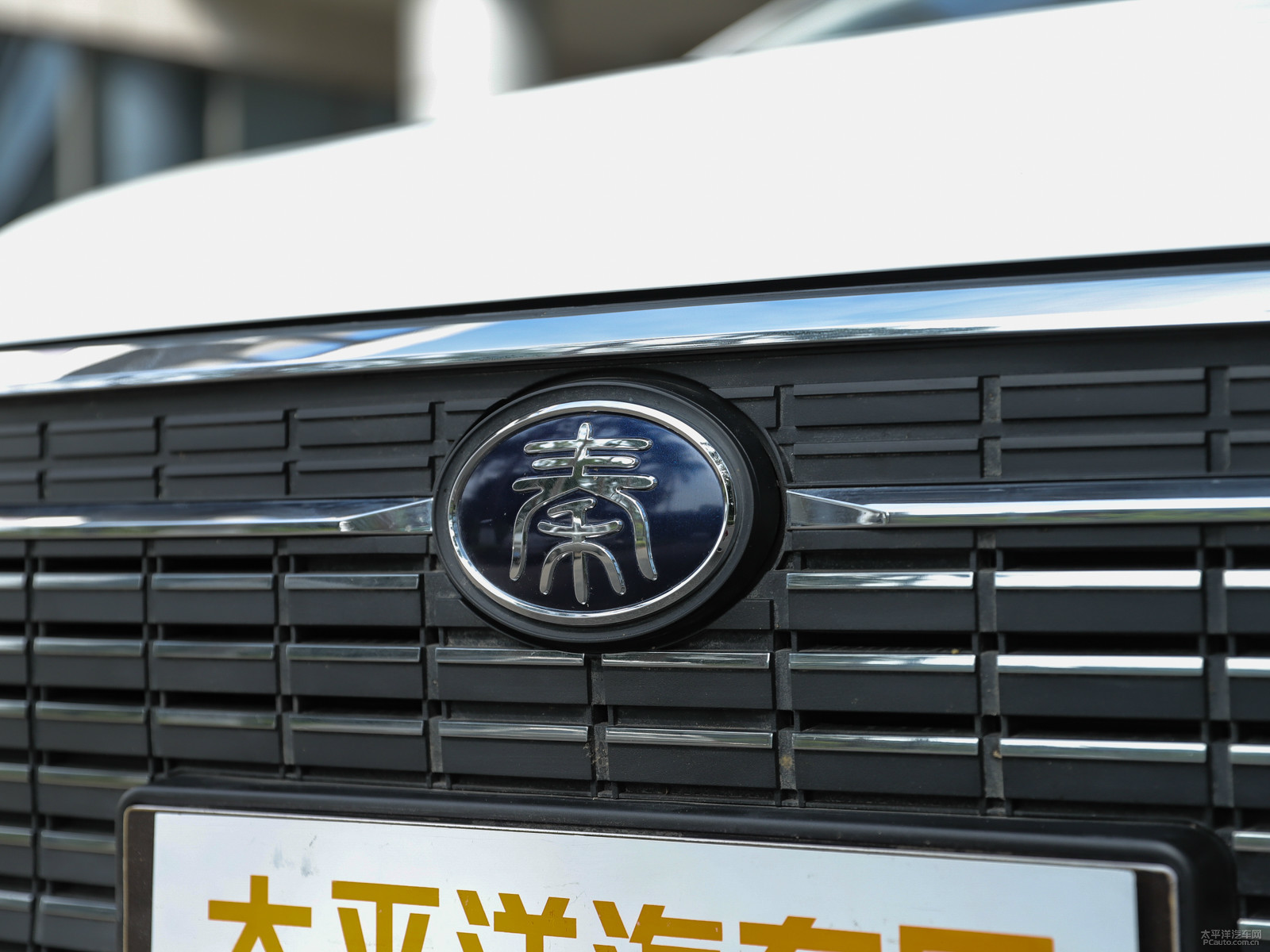 秦新能源外觀高清大圖
