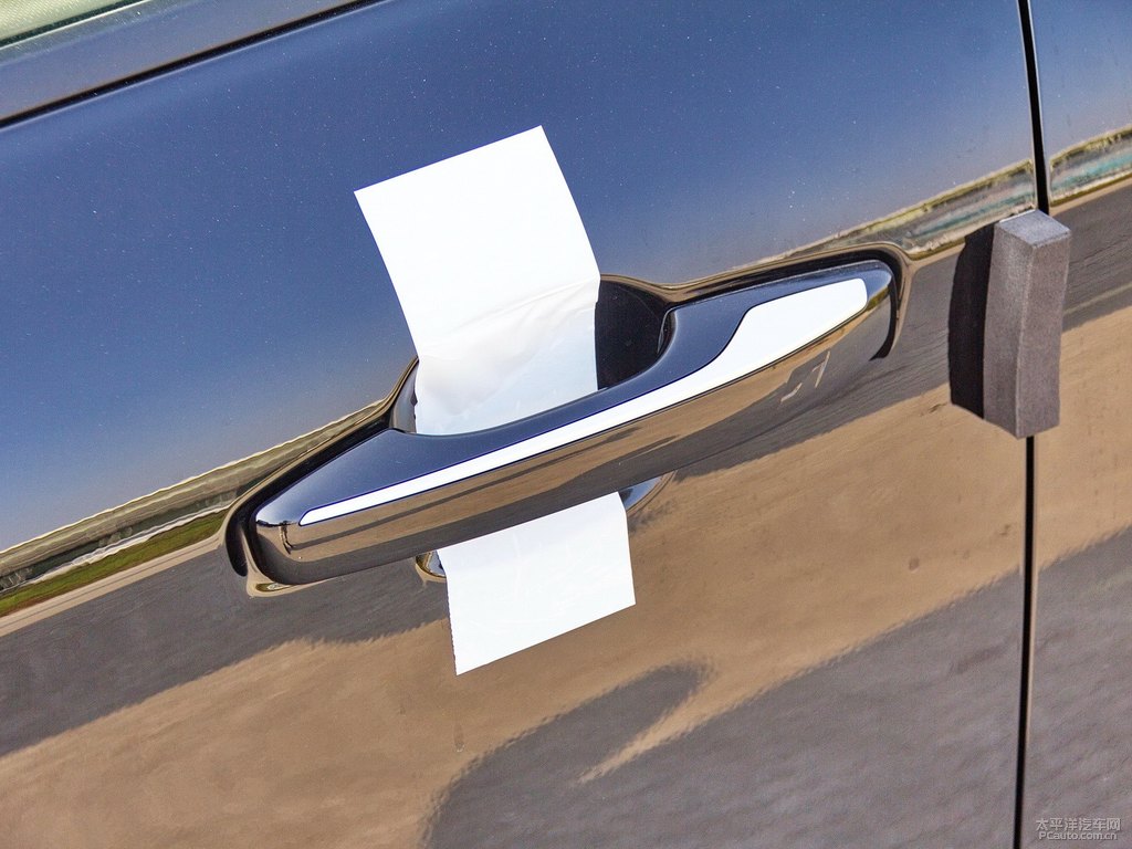黑色領(lǐng)克03車身外觀圖片