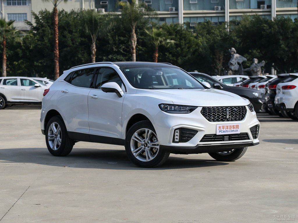 雪域白魏牌 VV5整車外觀外觀圖片