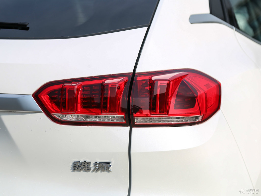 雪域白魏牌 VV5車(chē)尾外觀圖片