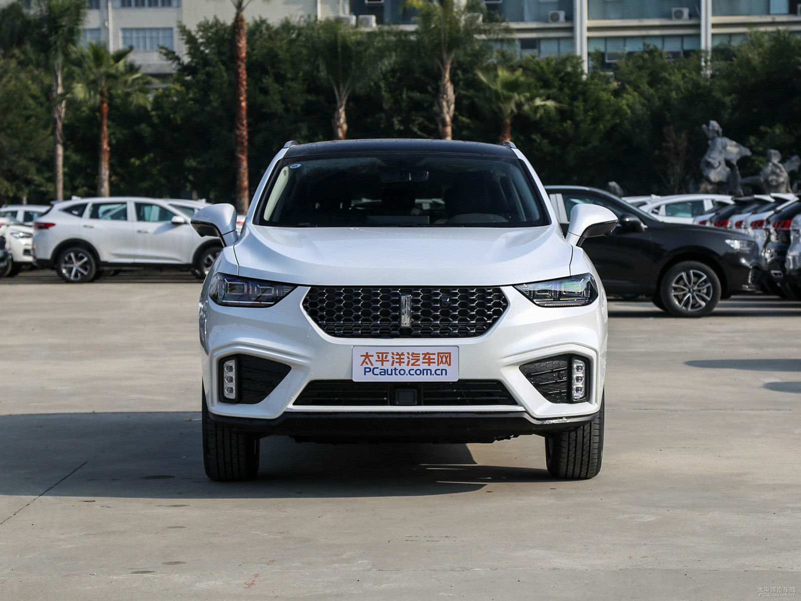 魏牌 VV5外觀高清大圖