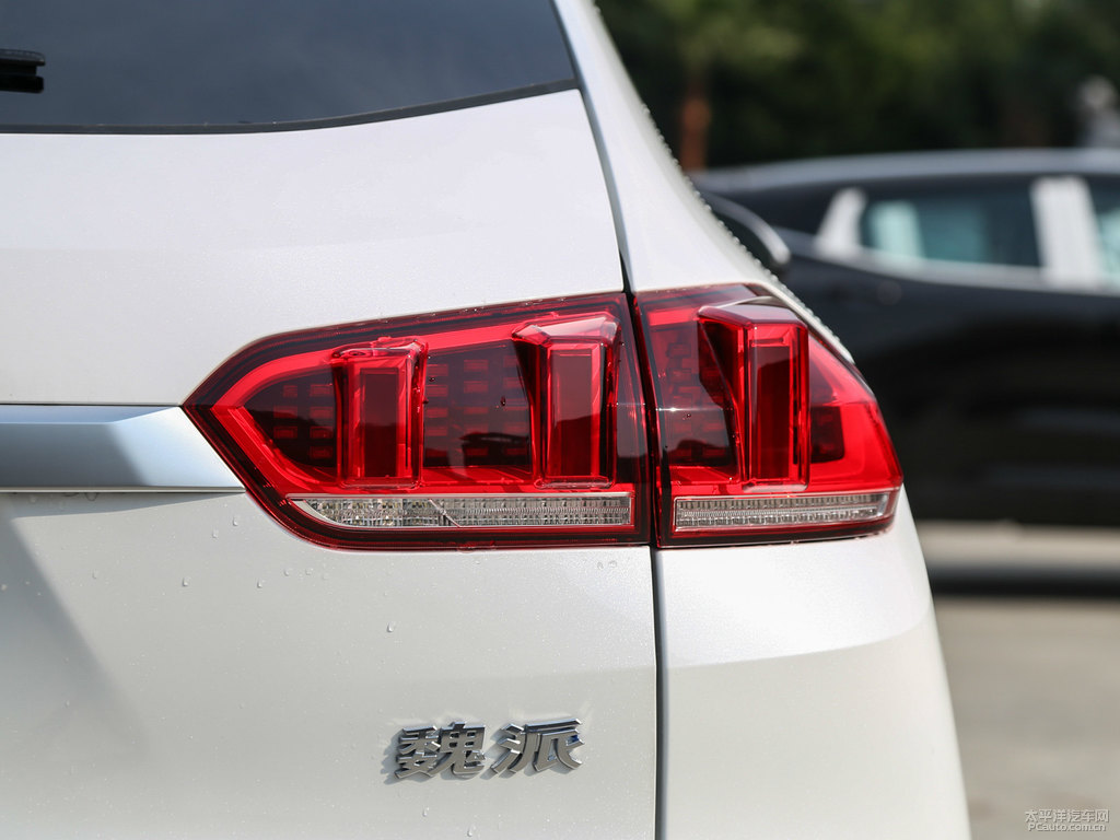 雪域白魏牌 VV5車(chē)尾外觀圖片